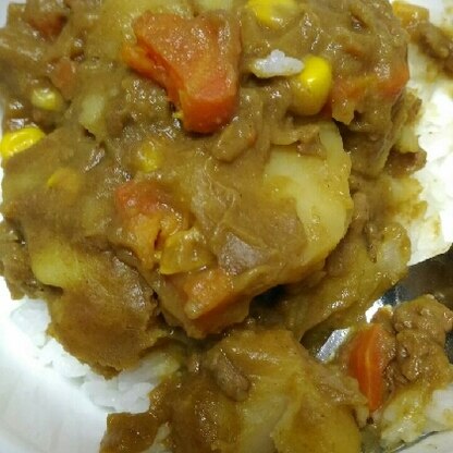 とろけるカレーですが、美味しくできました。子どもには挽き肉が食べやすくて良いですね